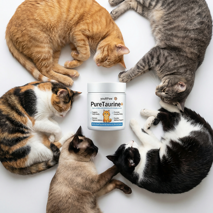 Taurine Powder Supplement for Cats™